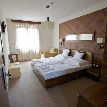 Airport Wellness Panzio 4*