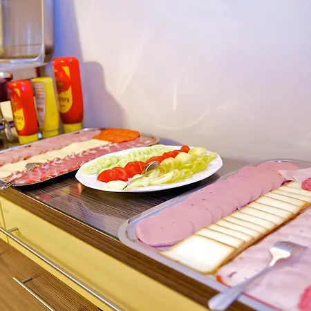 게스트하우스 Airport Wellness Panzio 4*